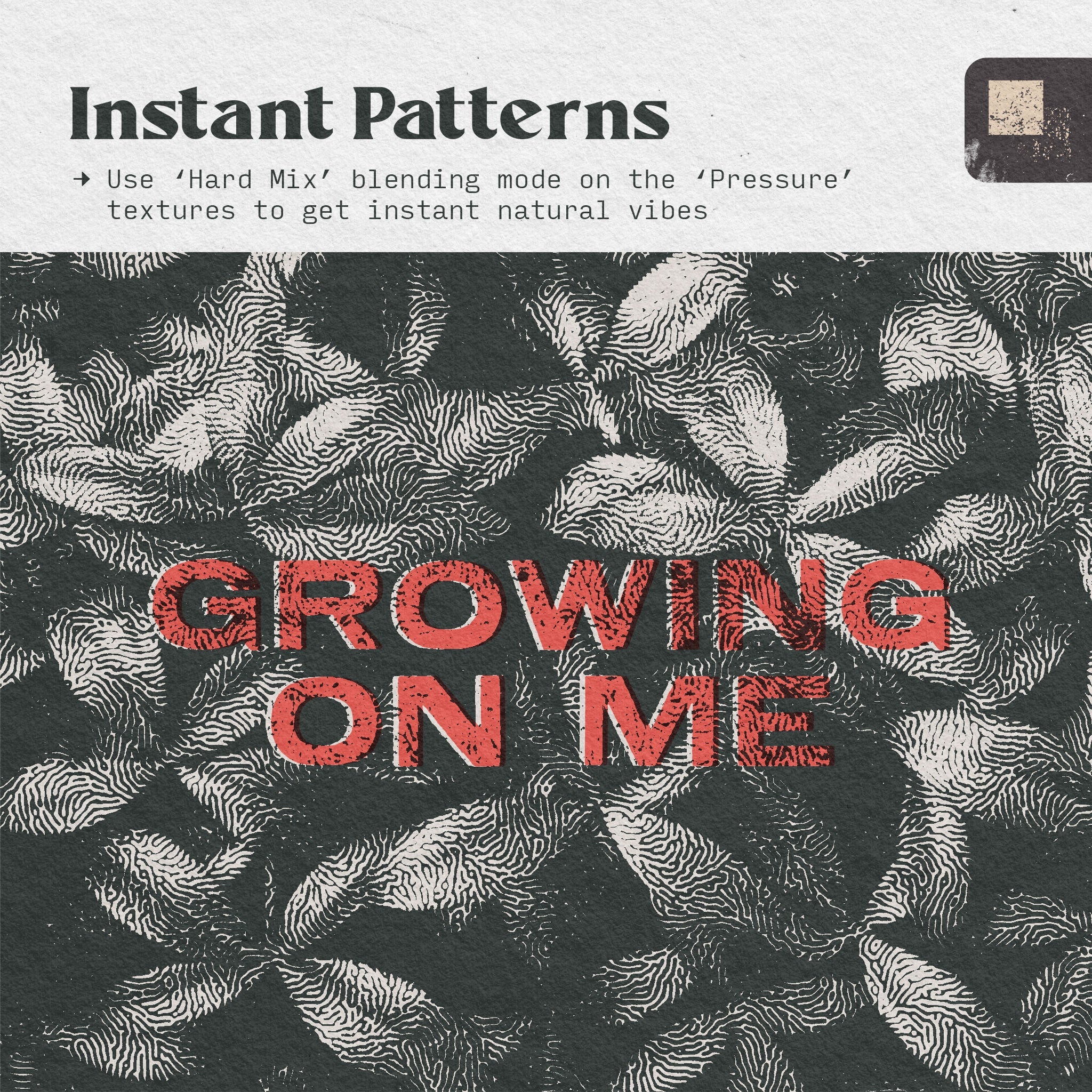 Organic Patterns - Bracken